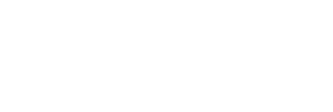 Emilie IA & Transition